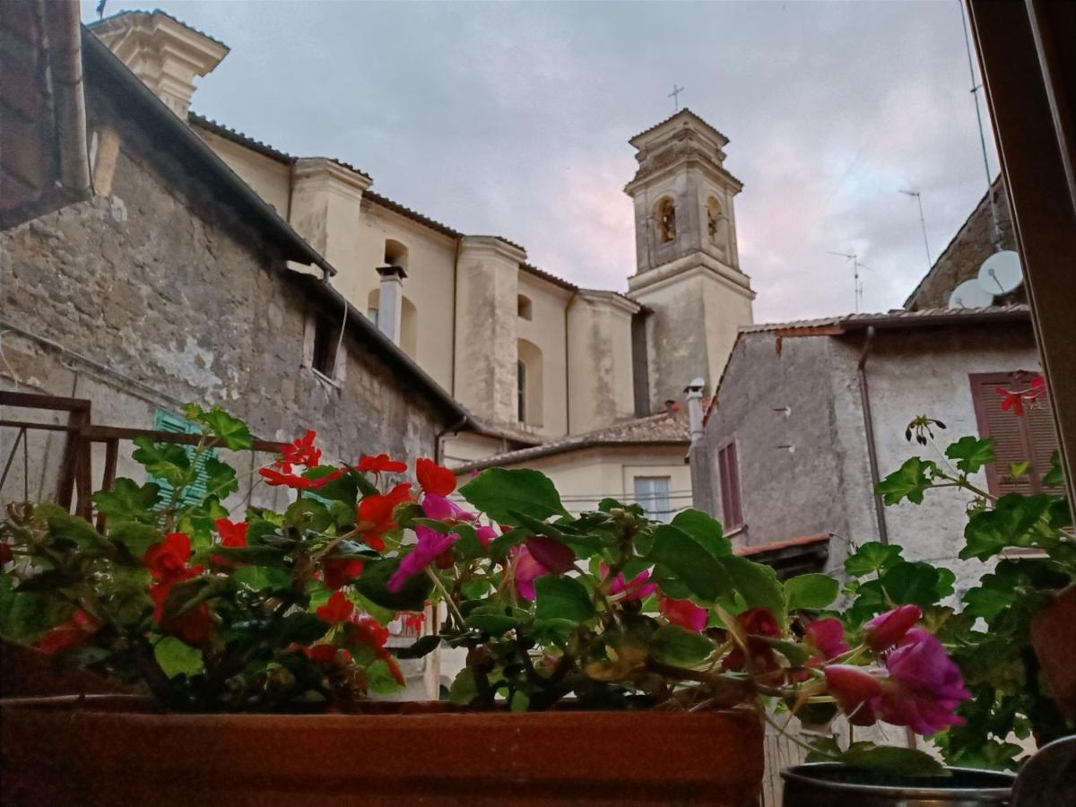 Giglio Vallerano. Alloggio Turistico 外观 照片